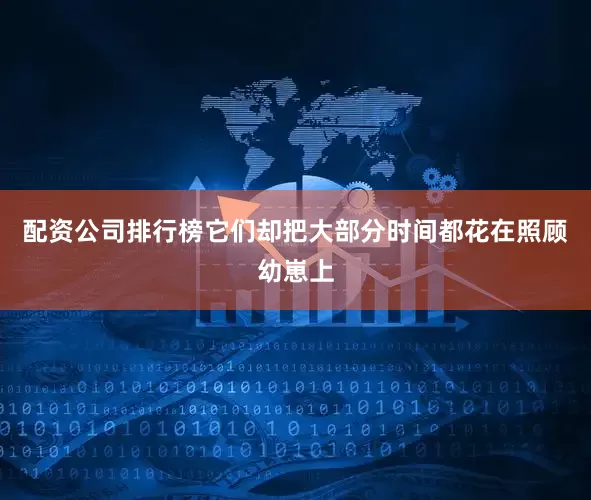 配资公司排行榜它们却把大部分时间都花在照顾幼崽上