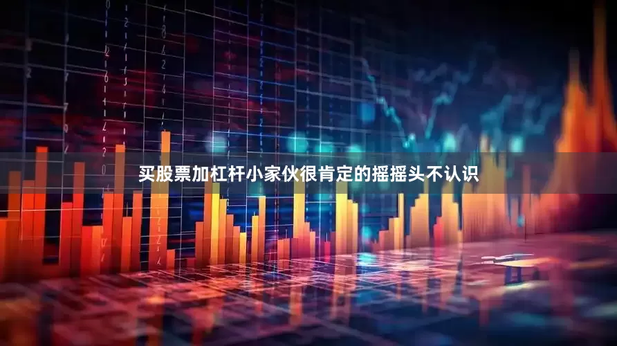 买股票加杠杆小家伙很肯定的摇摇头不认识