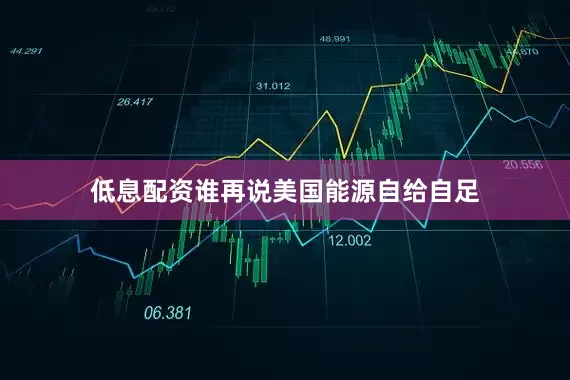 低息配资谁再说美国能源自给自足