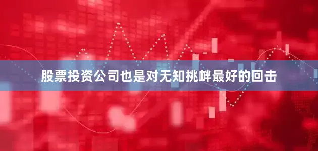 股票投资公司也是对无知挑衅最好的回击